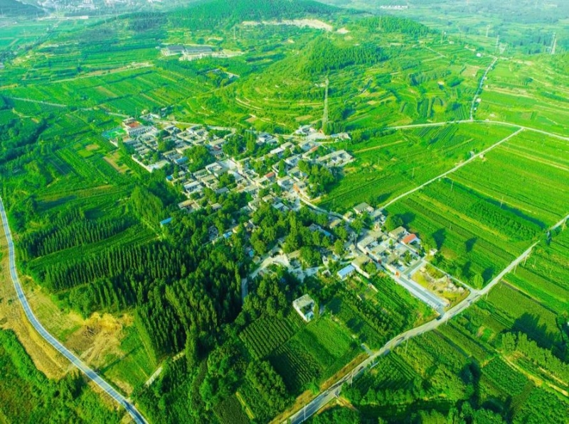 平阴县玫瑰镇东唐村花椒山63亩土地对外招商